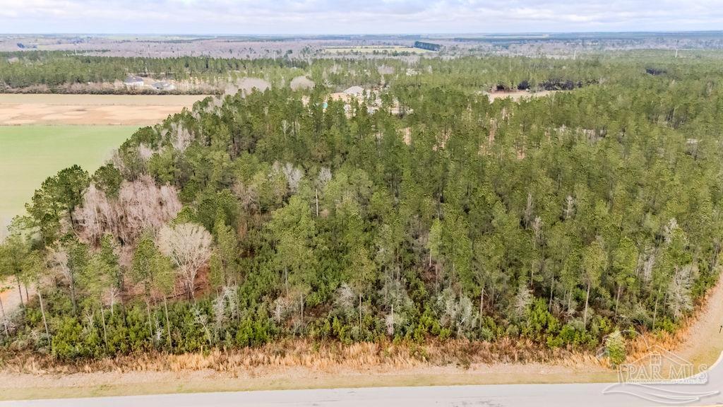 9.51 Parkstone Pines Road Pace, FL 32571 - Photo 8 of 17 Gallery Image 8