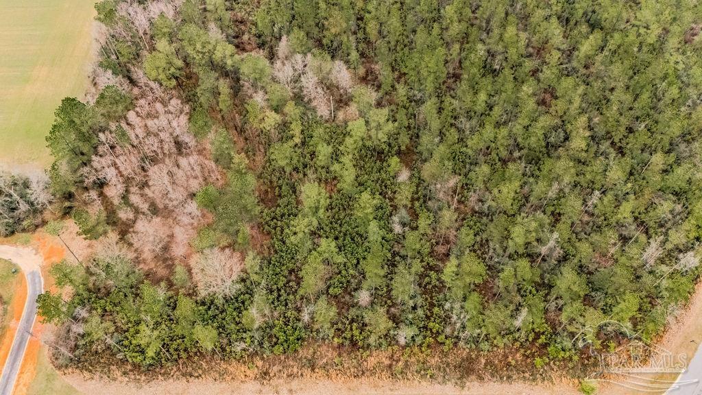 9.51 Parkstone Pines Road Pace, FL 32571 - Photo 10 of 17 Gallery Image 10