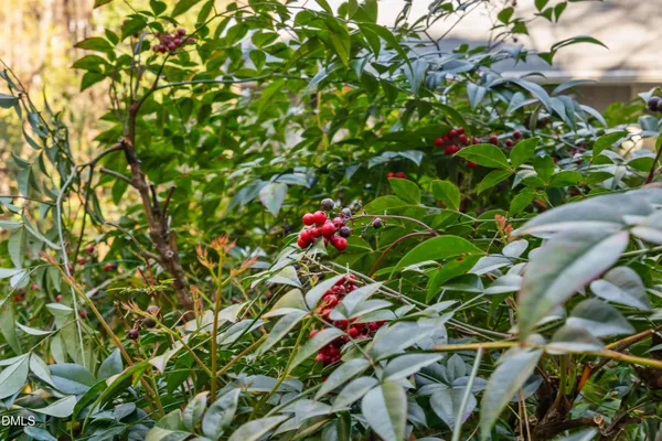 $695,000 | 7601 Southwick Court, Wake Forest, NC 27587