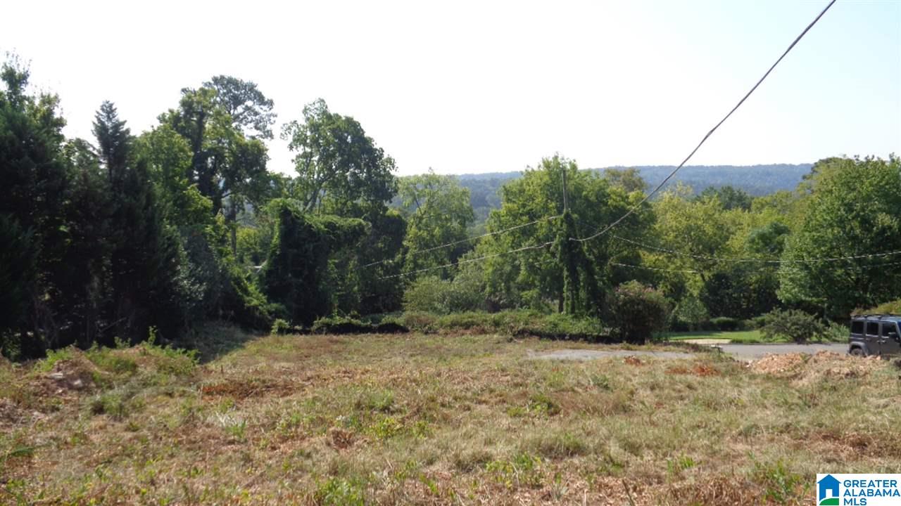 141 Spring Street, Unit 2 Mountain Brook, AL 35213 - Photo 3 of 3