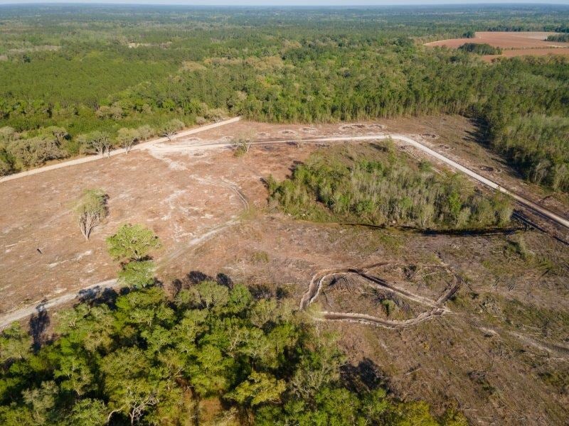 Lot 3 Copeland Road Lake Park, GA 31636 - Photo 10 of 48 Gallery Image 10