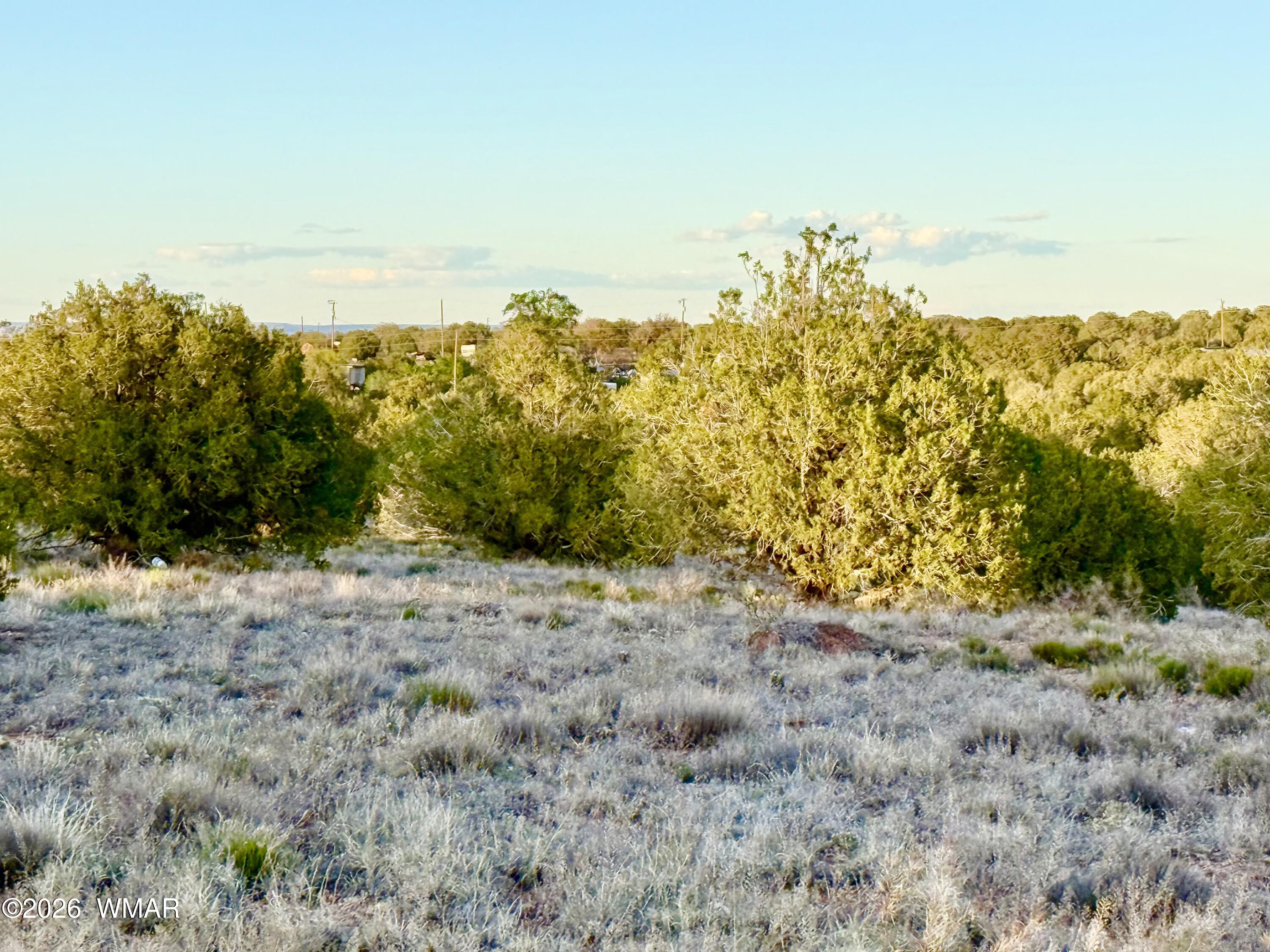 4428 Colt Road Snowflake, AZ 85937 - Photo 19 of 22 IMG_6163