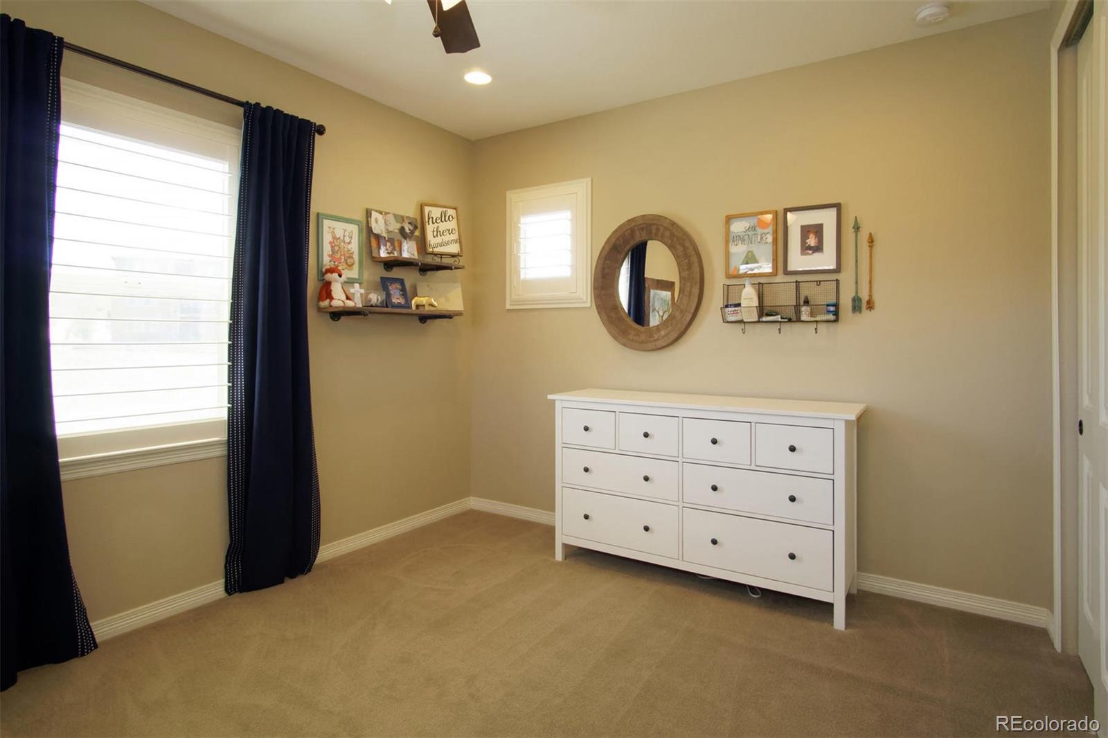 10763 Timberdash Avenue Highlands Ranch, CO 80126 - Photo 28 of 40 Gallery Image 28