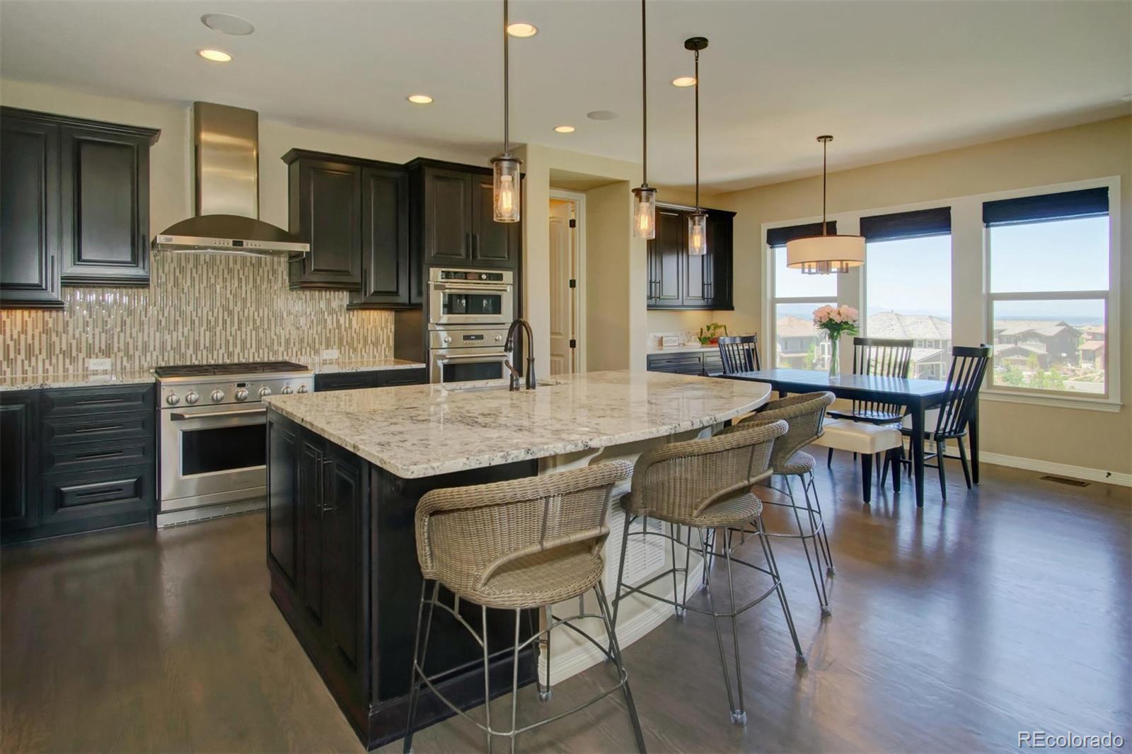 10763 Timberdash Avenue Highlands Ranch, CO 80126 - Photo 8 of 40 Gallery Image 8
