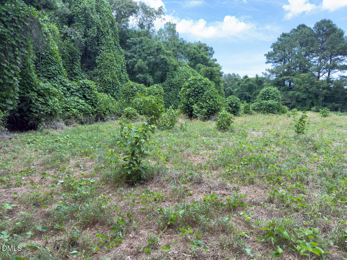 0 Mt Pleasant Church Road Manson, NC 27553 - Photo 36 of 43