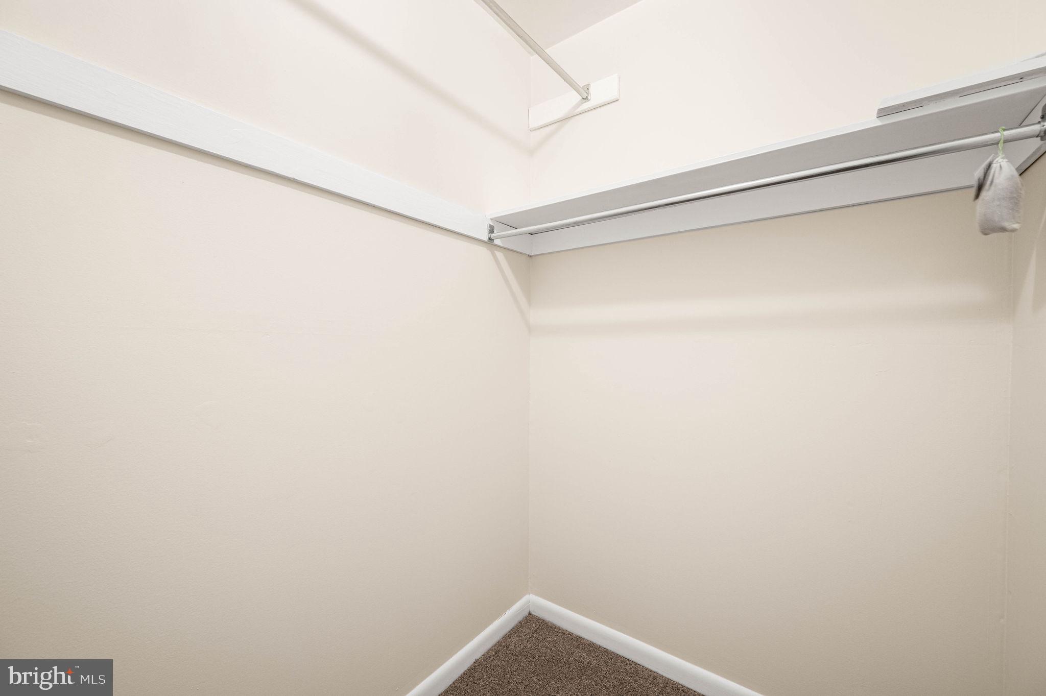 242 Valley Stream Lane Chesterbrook, PA 19087 - Photo 15 of 27 Primary Closet