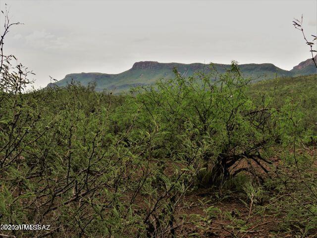 40.36 Acres Douglas, AZ 85607 - Photo 3 of 16 Gallery Image 3