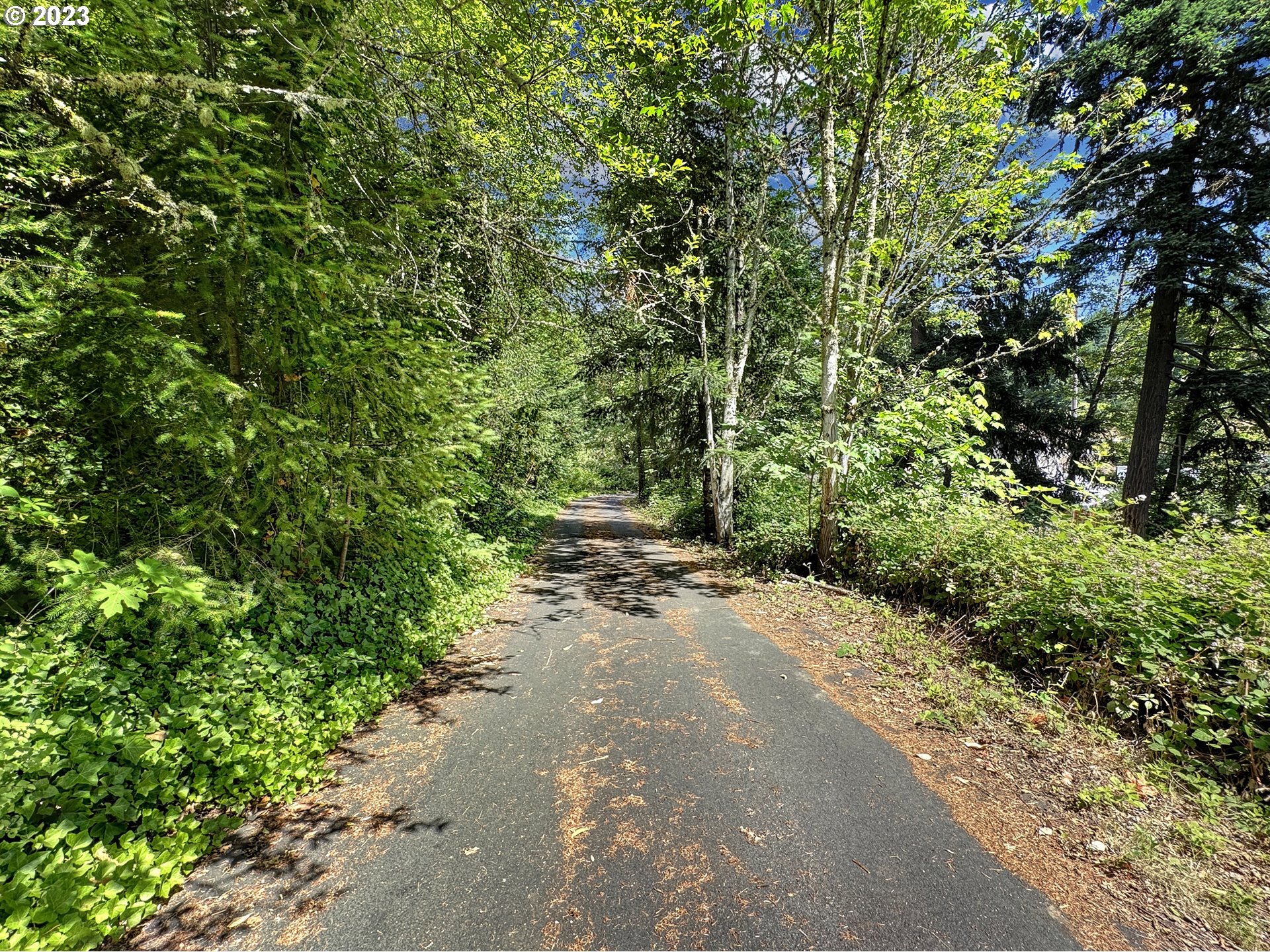 353 Dupont Road Kalama, WA 98625 - Photo 35 of 48 Driveway