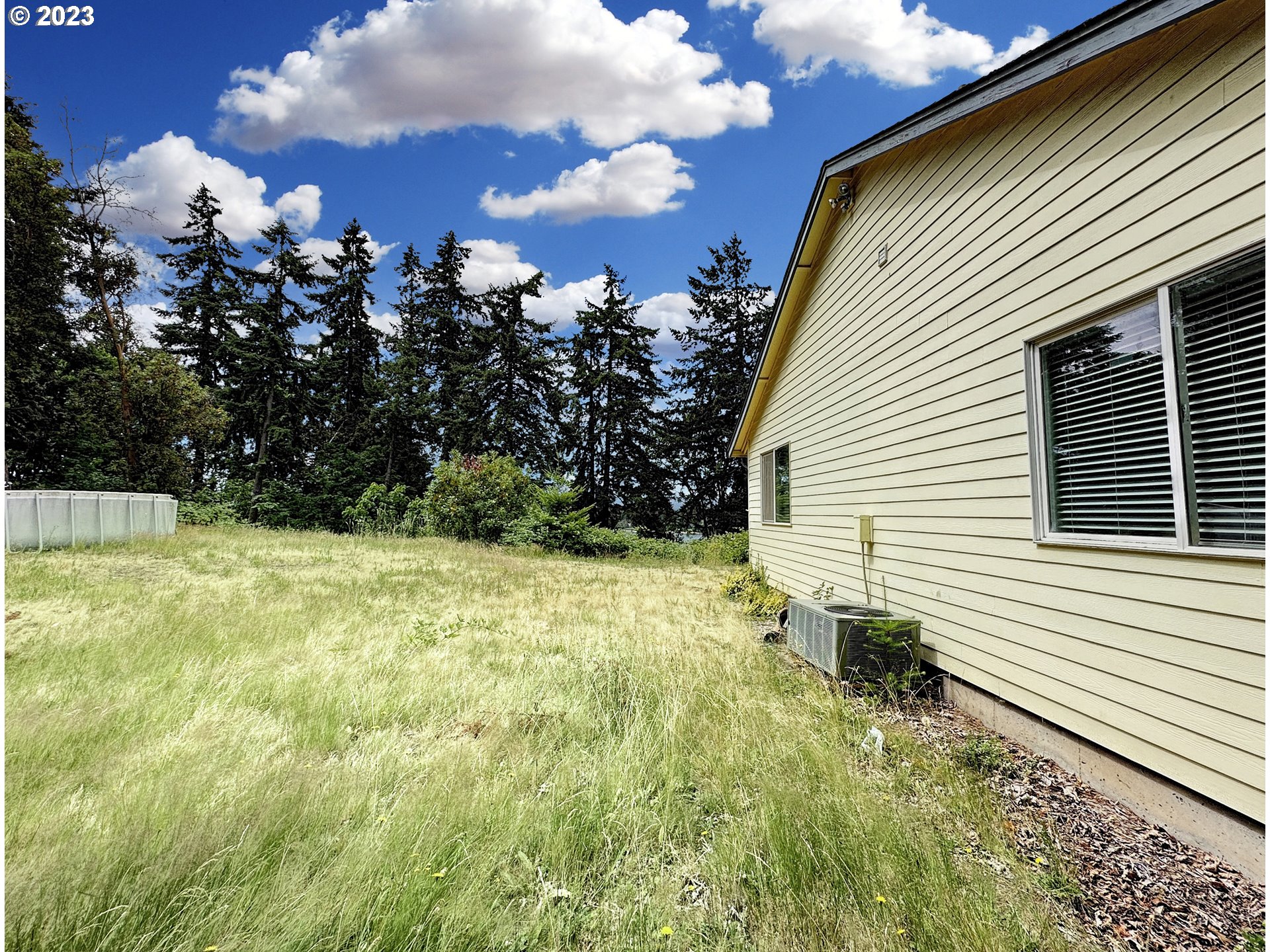 353 Dupont Road Kalama, WA 98625 - Photo 37 of 48 Backyard