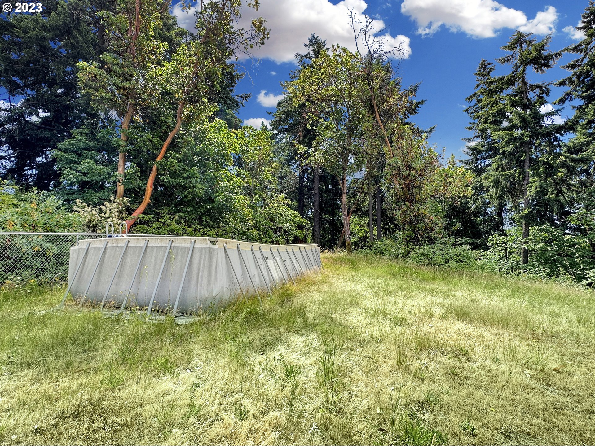 353 Dupont Road Kalama, WA 98625 - Photo 38 of 48 Yard