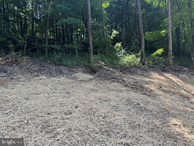 Tbd Locust Grove Road Thornton, WV 26440 - Photo 19 of 24
