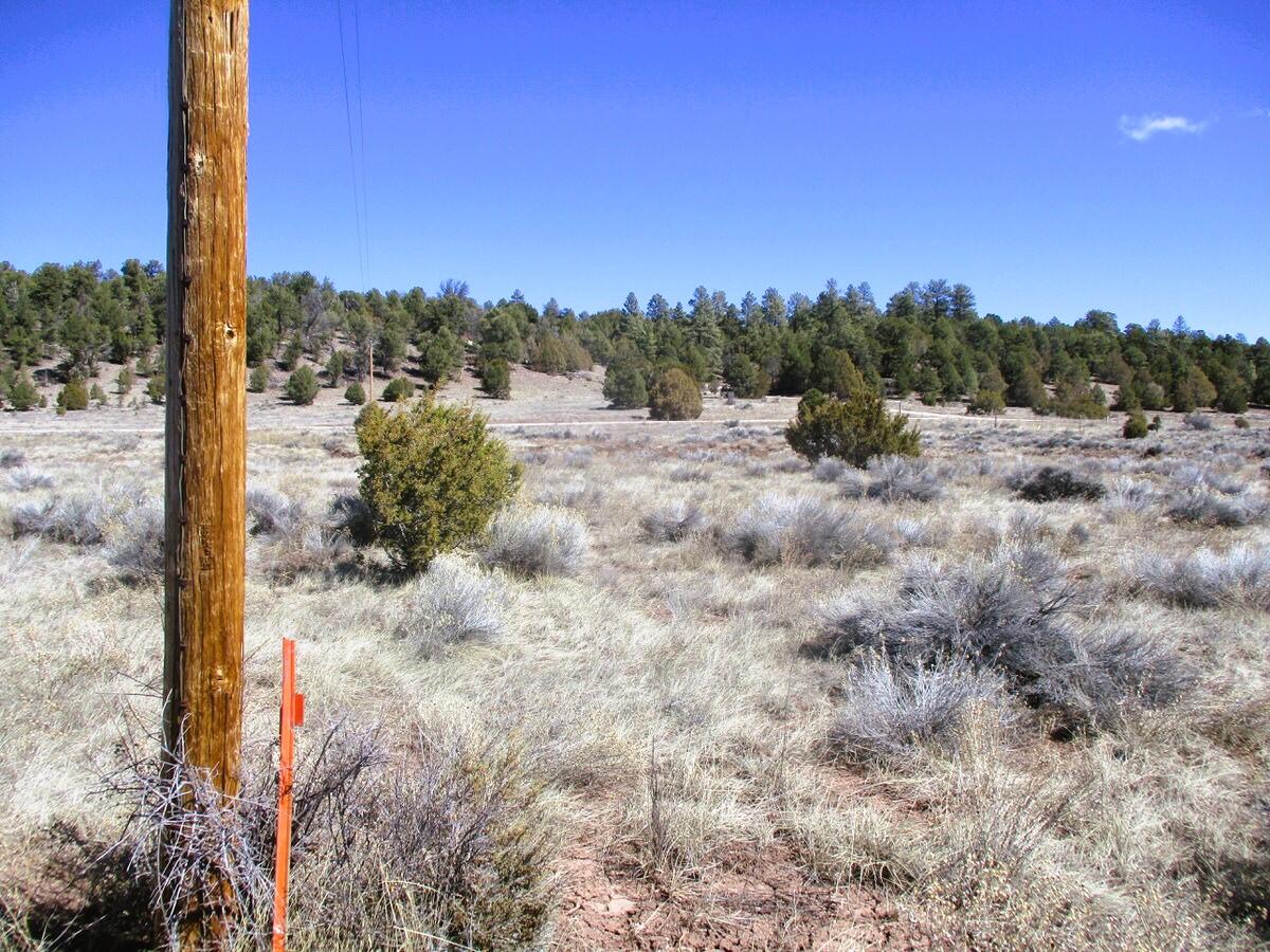 Lot 10 Sagebrush Road Ramah, NM 87321 - Photo 36 of 90 Gallery Image 36