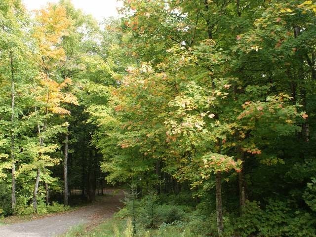 6841 Black Forest Road Presque Isle, WI 54557 - Photo 11 of 15 Gallery Image 11