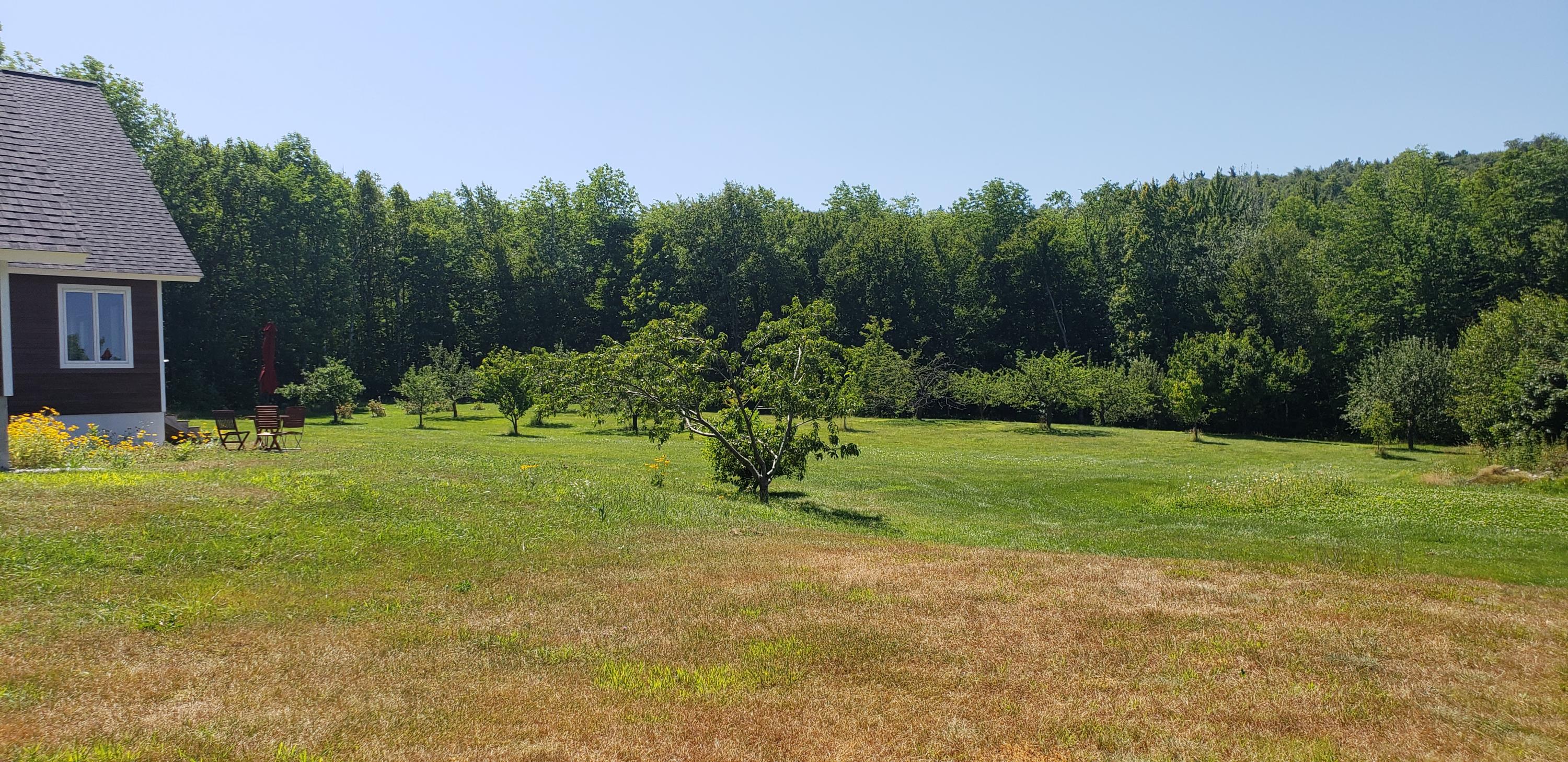 684 Valley Road Waterford, ME 04088 - Photo 20 of 51 Back yard
