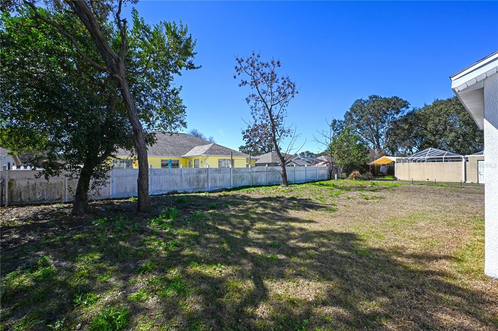 8452 Dorsey Street Spring Hill, FL 34608 - Photo 20 of 28 a view of a yard with a tree