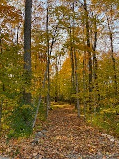 2955 Gibraltar Road Fish Creek, WI 54212 - Photo 57 of 65 Gallery Image 57
