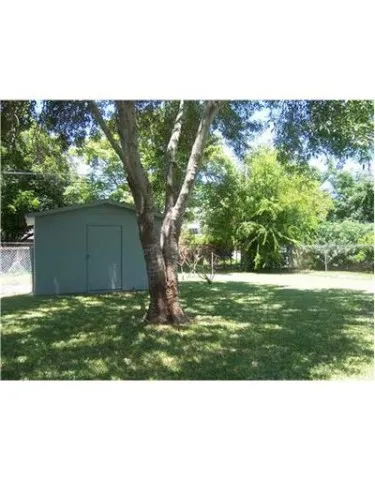 a view of a yard with a tree
