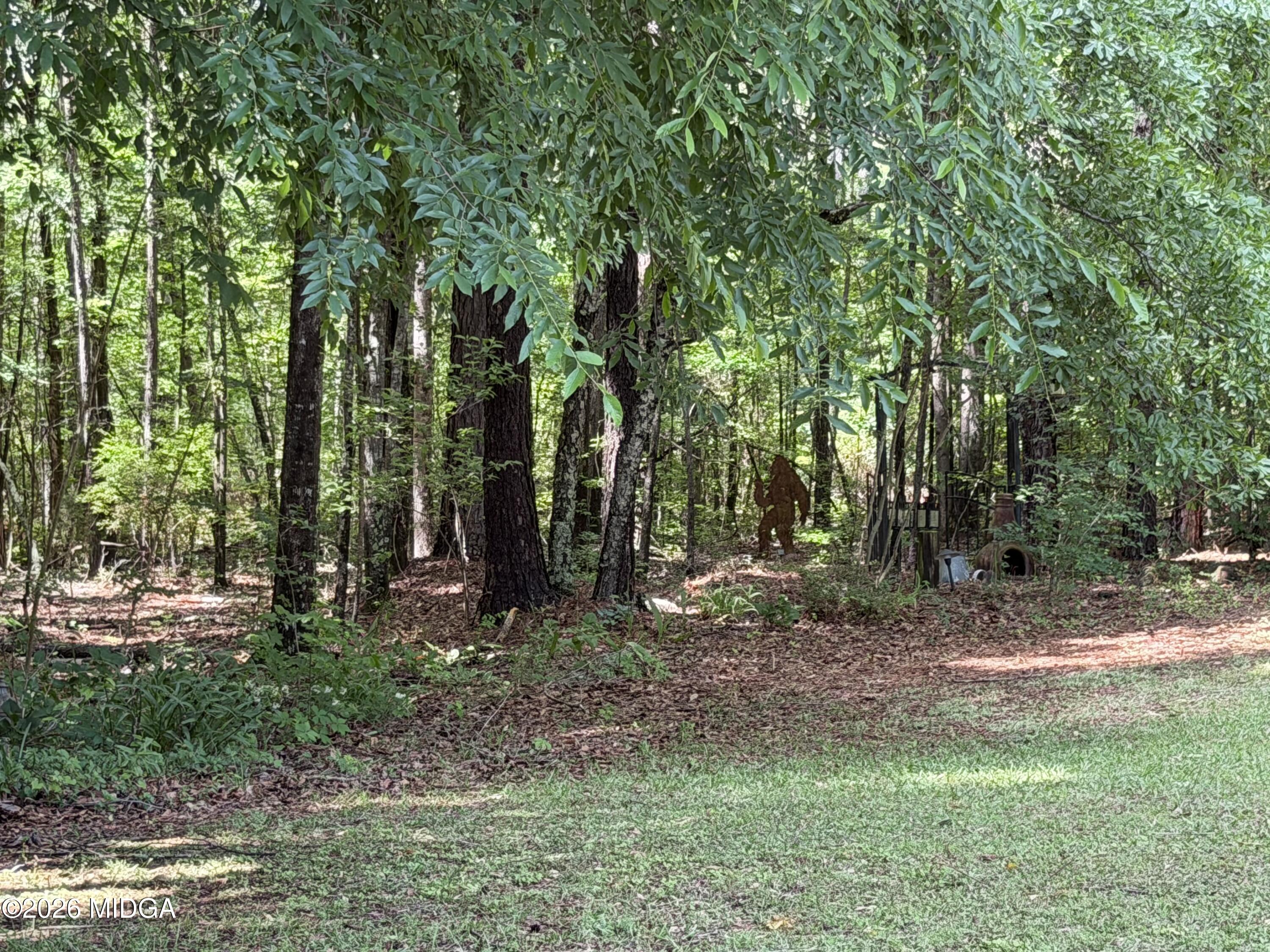 125 Hampton Ridge Road Macon, GA 31220 - Photo 43 of 53 IMG_4695