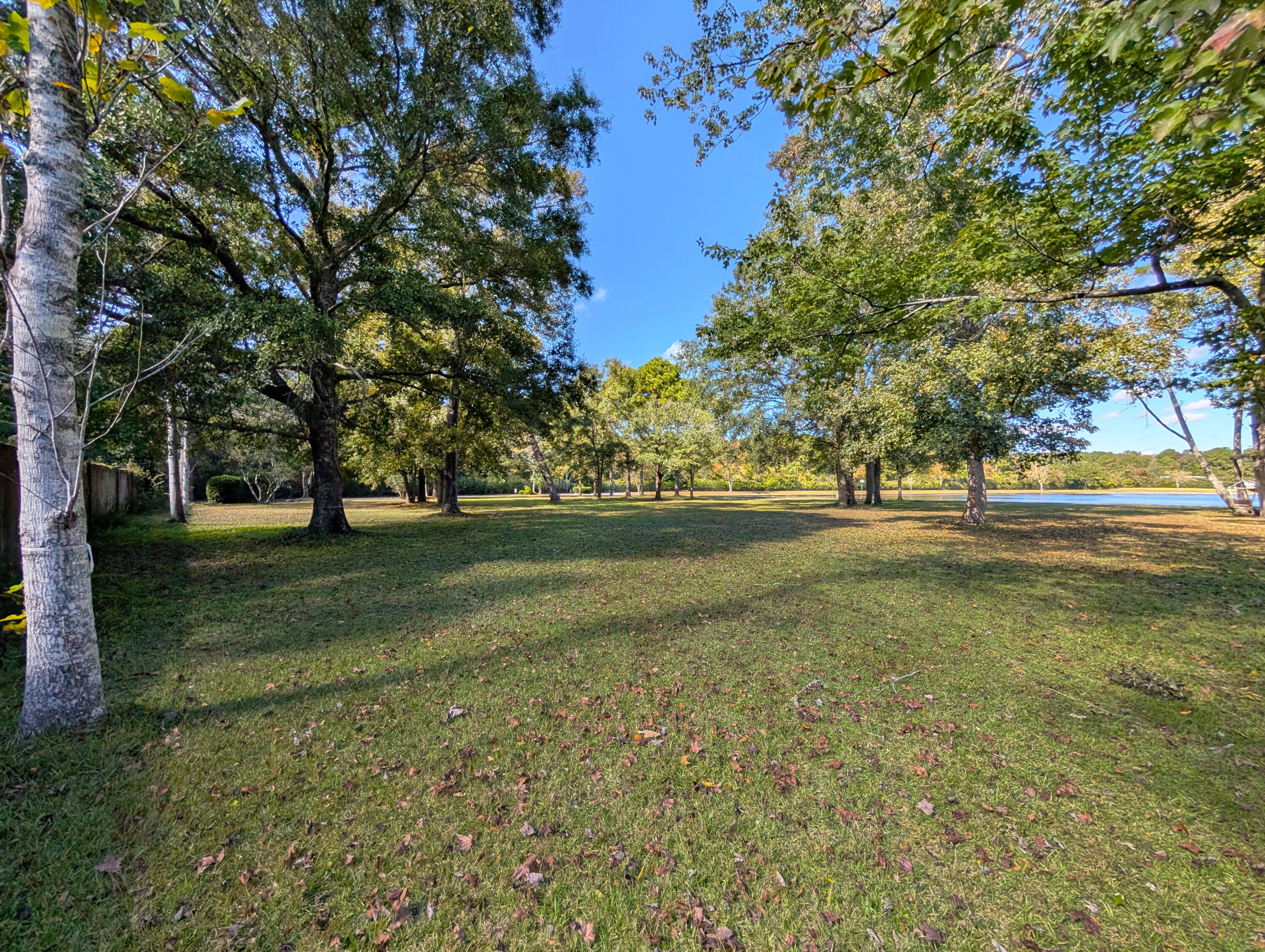 5331 Angelica Circle Awendaw, SC 29429 - Photo 12 of 34 17-Interior of Lot from Back Left Corner