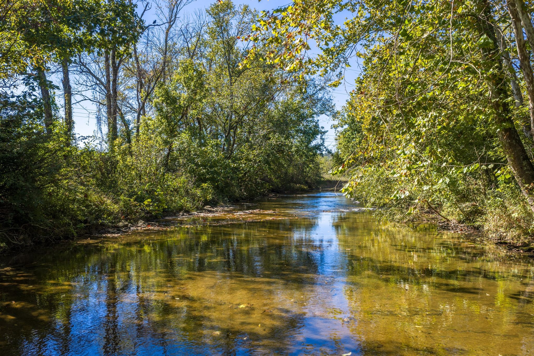 3523 Water Valley Road Williamsport, TN 38487 - Photo 2 of 22