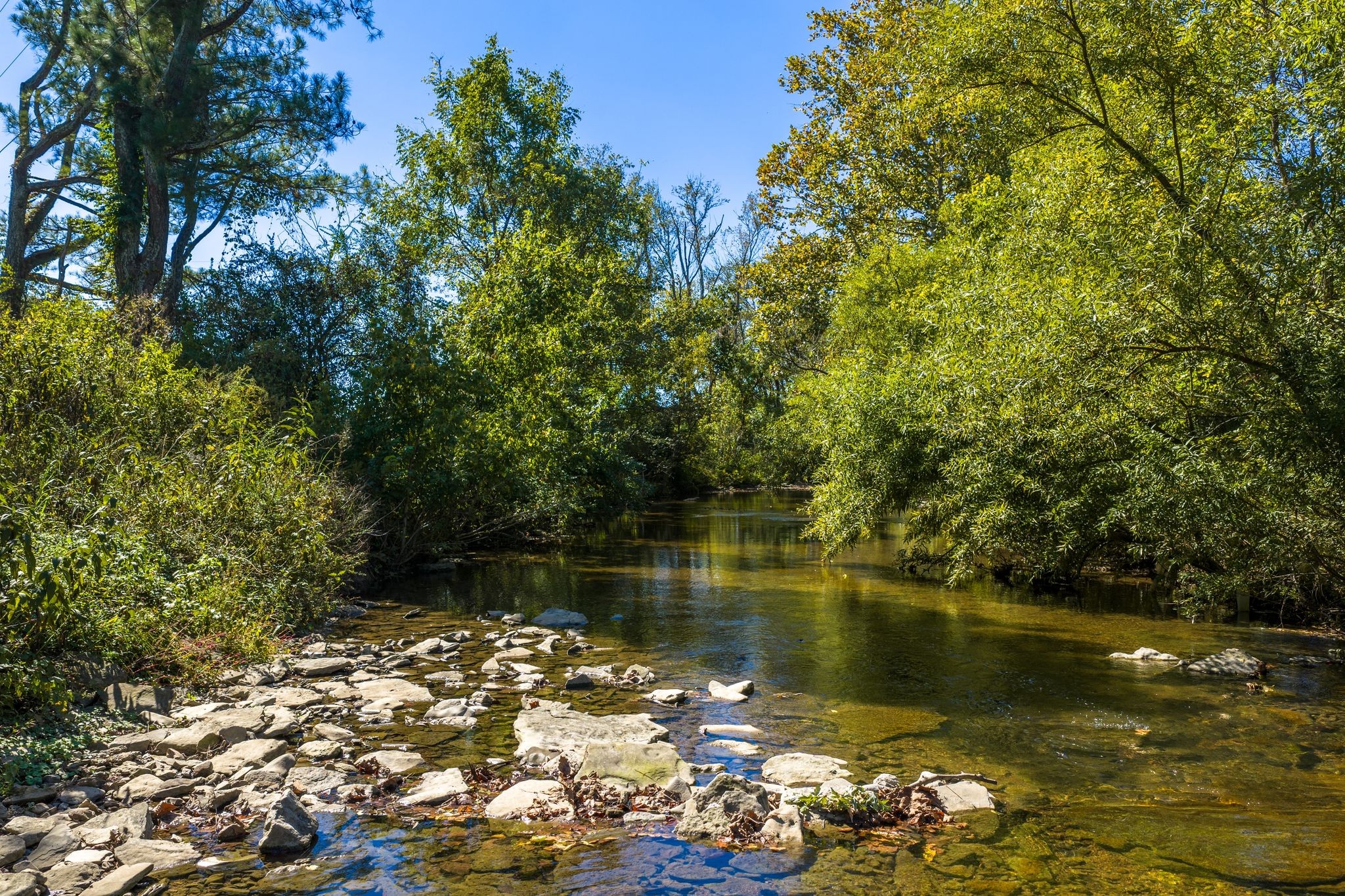 3523 Water Valley Road Williamsport, TN 38487 - Photo 3 of 22 a view of a lake with houses