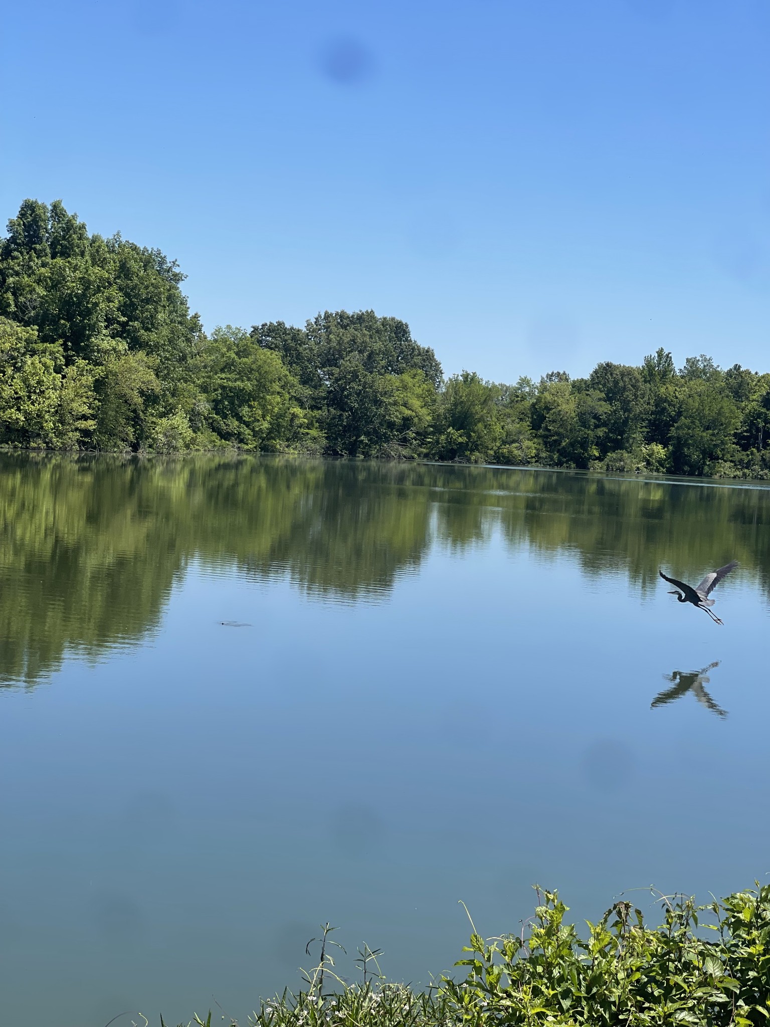 120 Manners Road Dover, TN 37058 - Photo 3 of 4 a view of a lake with a city view