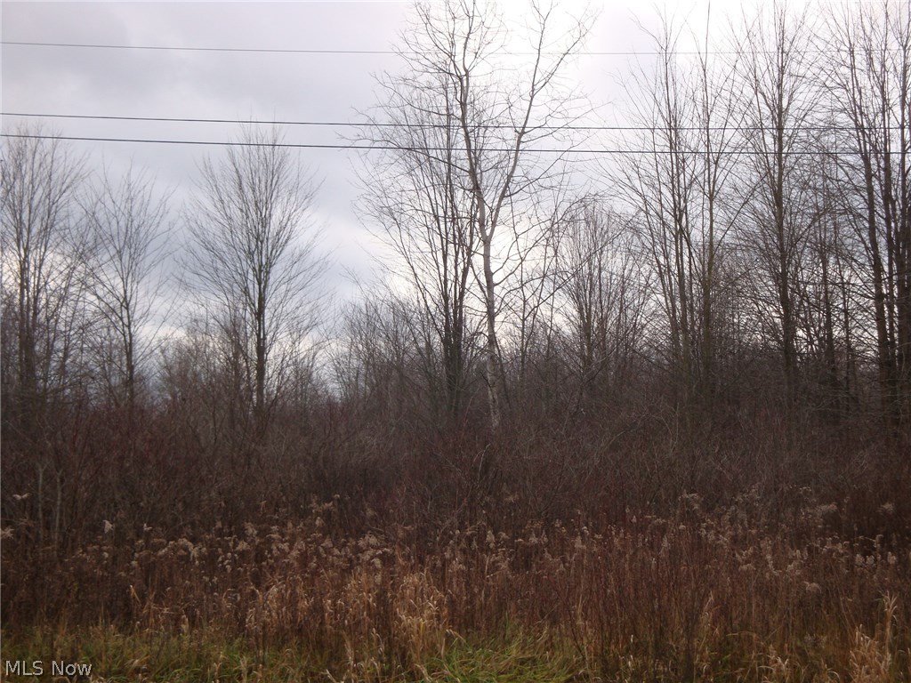 Allen Comp Road Dorset, OH 44032 - Photo 4 of 4 Gallery Image 4