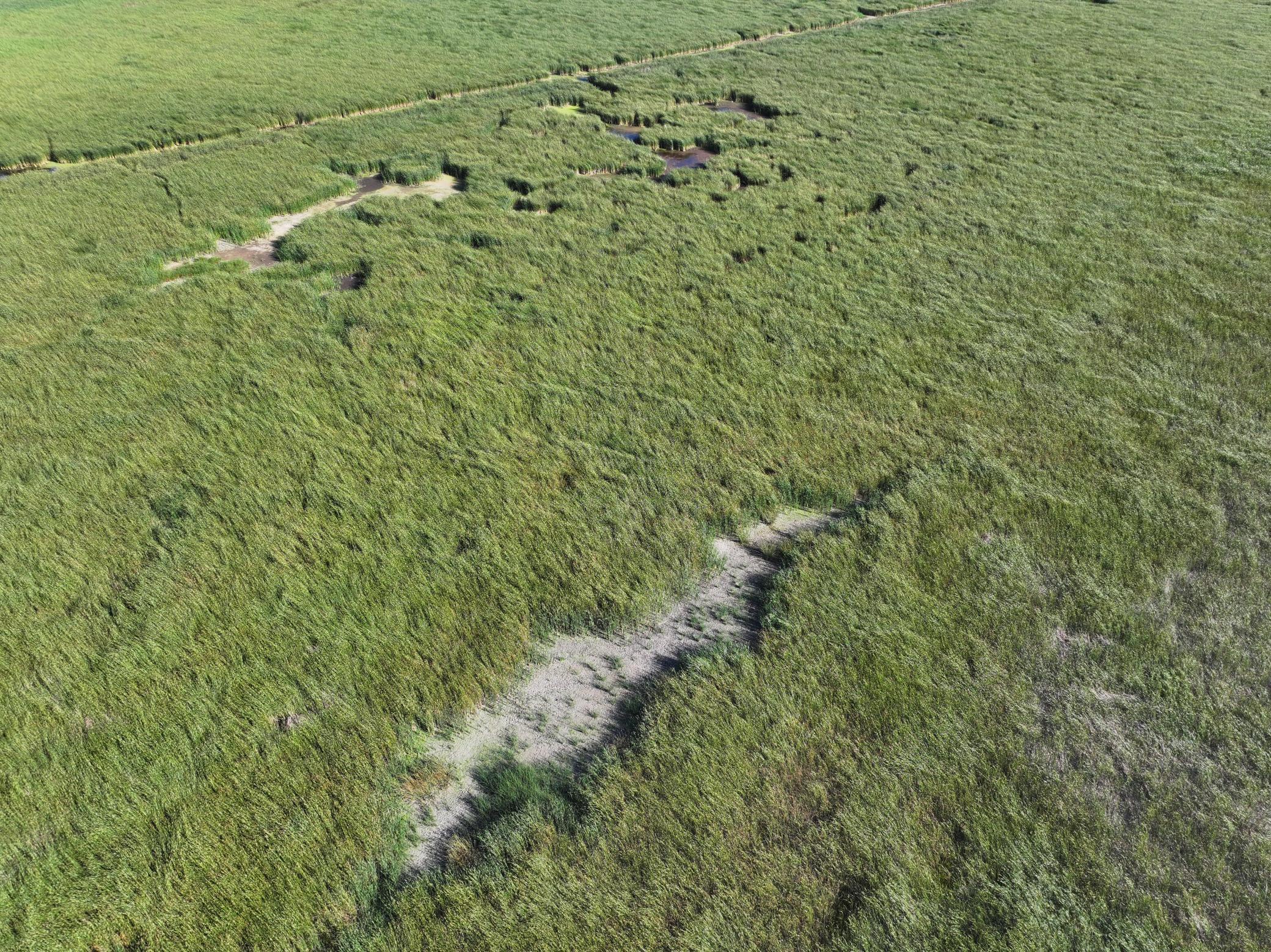 13 State Rte 13 Stirum, ND 58069 - Photo 18 of 31 Gallery Image 18
