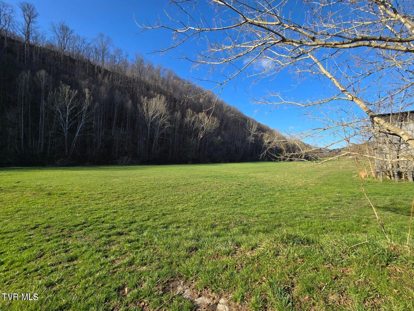2388 Ruritan Run Road Gate City, VA 24251 - Photo 67 of 72 photo 27