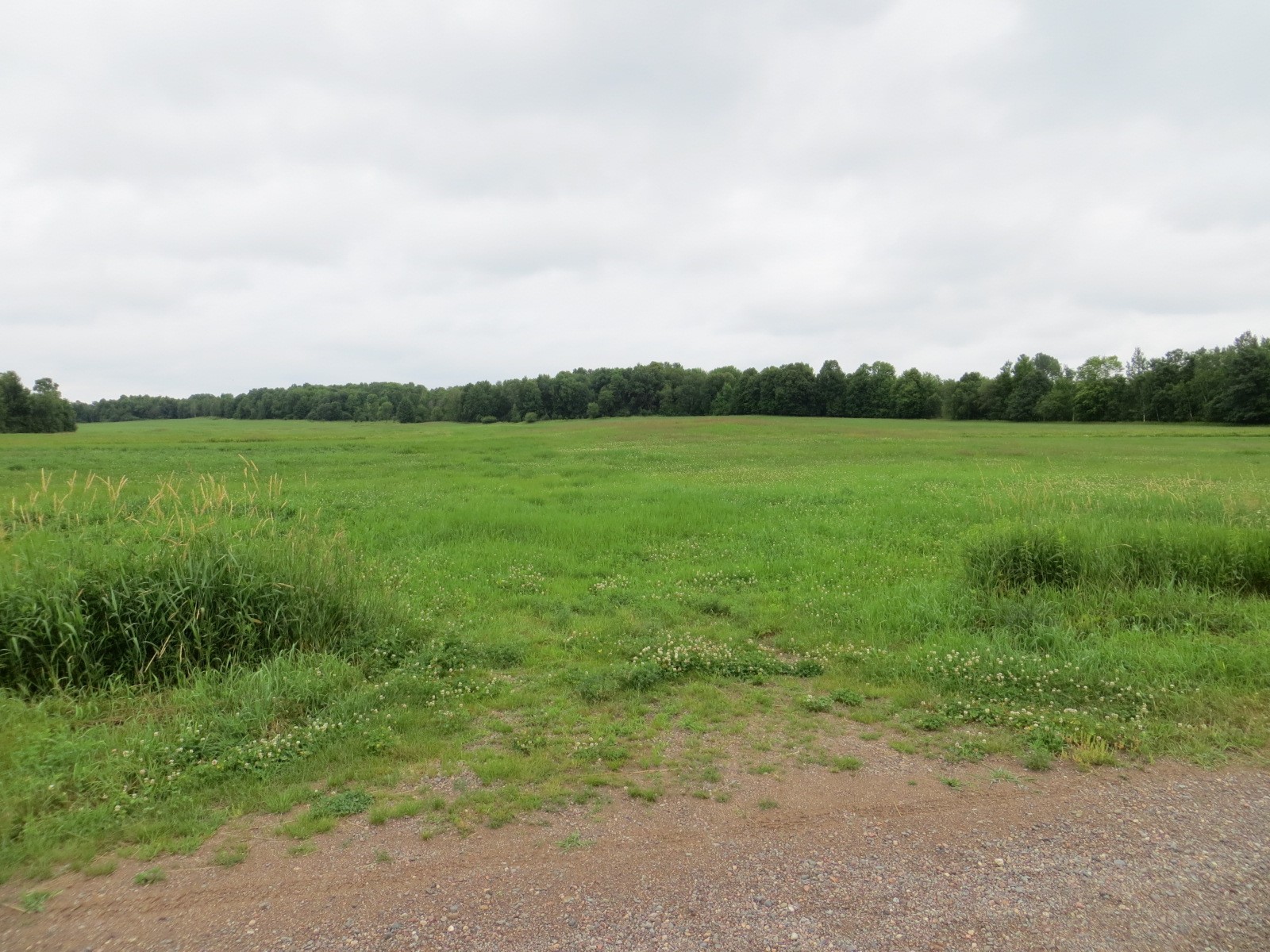 Xx6 190th Avenue Stanley, WI 54768 - Photo 1 of 2