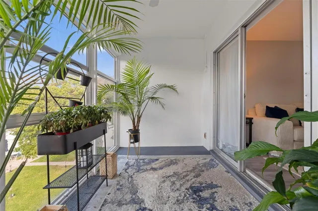 a view of a backyard with a potted plant