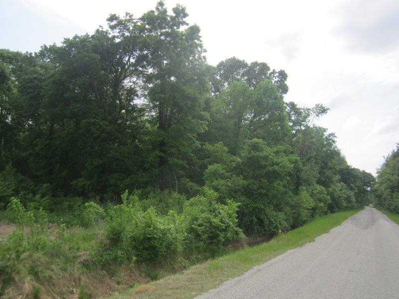 0 Elm Tree Road Brownsville, TN 38012 - Photo 4 of 10 Gallery Image 4