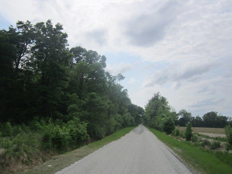 0 Elm Tree Road Brownsville, TN 38012 - Photo 5 of 10 Gallery Image 5