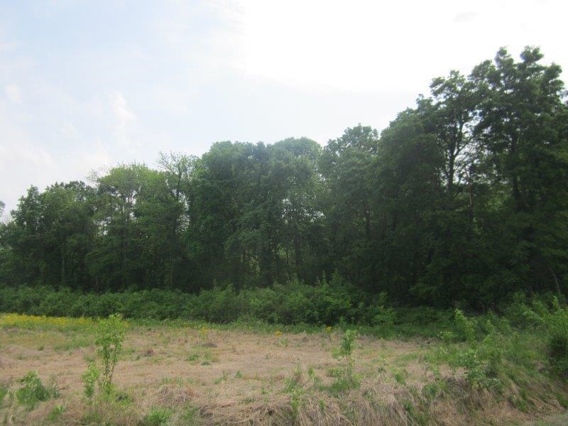 0 Elm Tree Road Brownsville, TN 38012 - Photo 6 of 10 Gallery Image 6