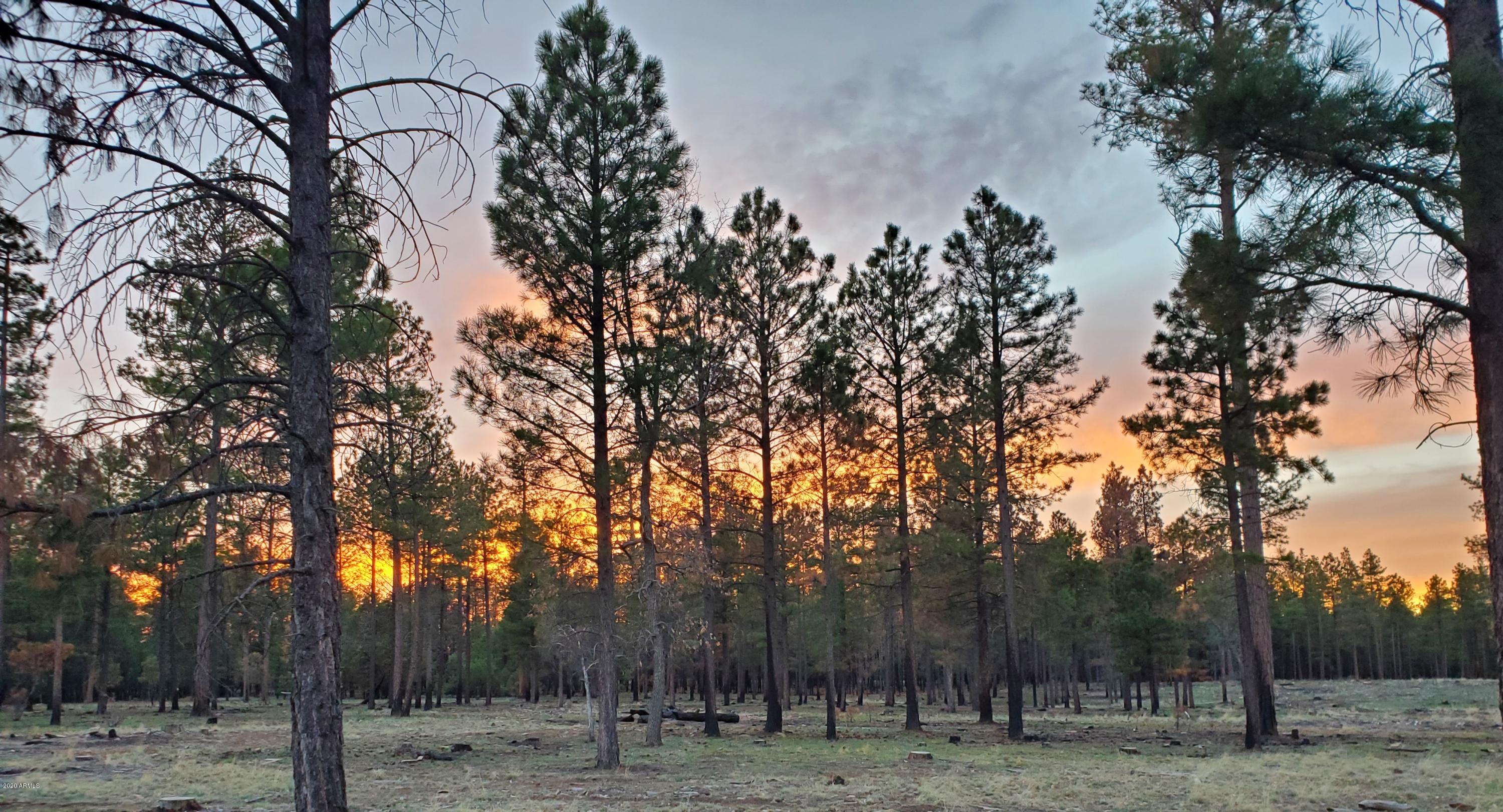 7770 Forest Service 122 Road, Unit 6A Happy Jack, AZ 86024 - Photo 11 of 38 a view of a yard with trees in the background