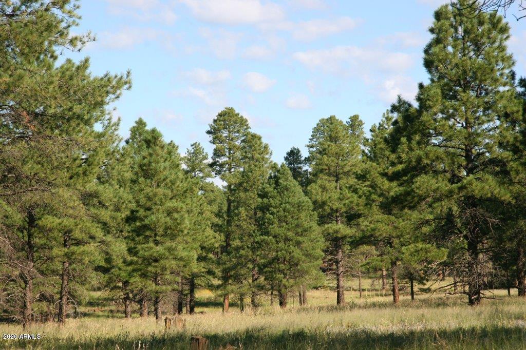 7770 Forest Service 122 Road, Unit 6A Happy Jack, AZ 86024 - Photo 16 of 38 a view of a yard