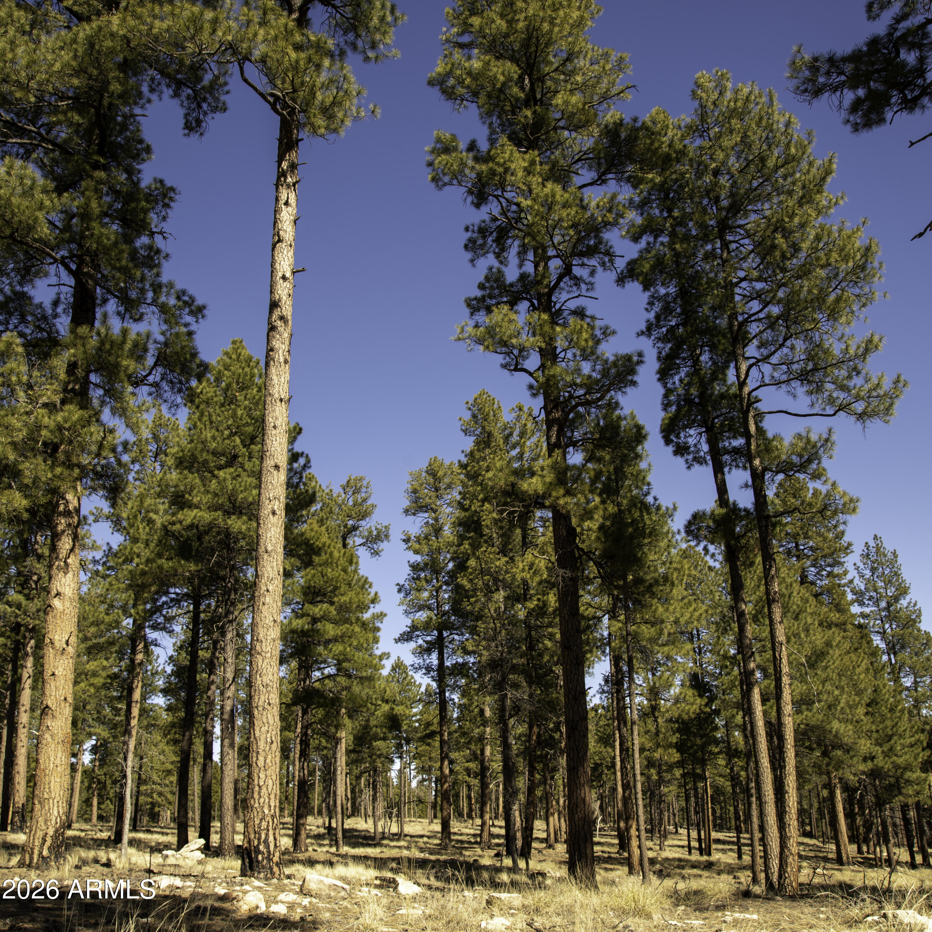 7770 Forest Service 122 Road, Unit 6A Happy Jack, AZ 86024 - Photo 29 of 38 a view of a city view