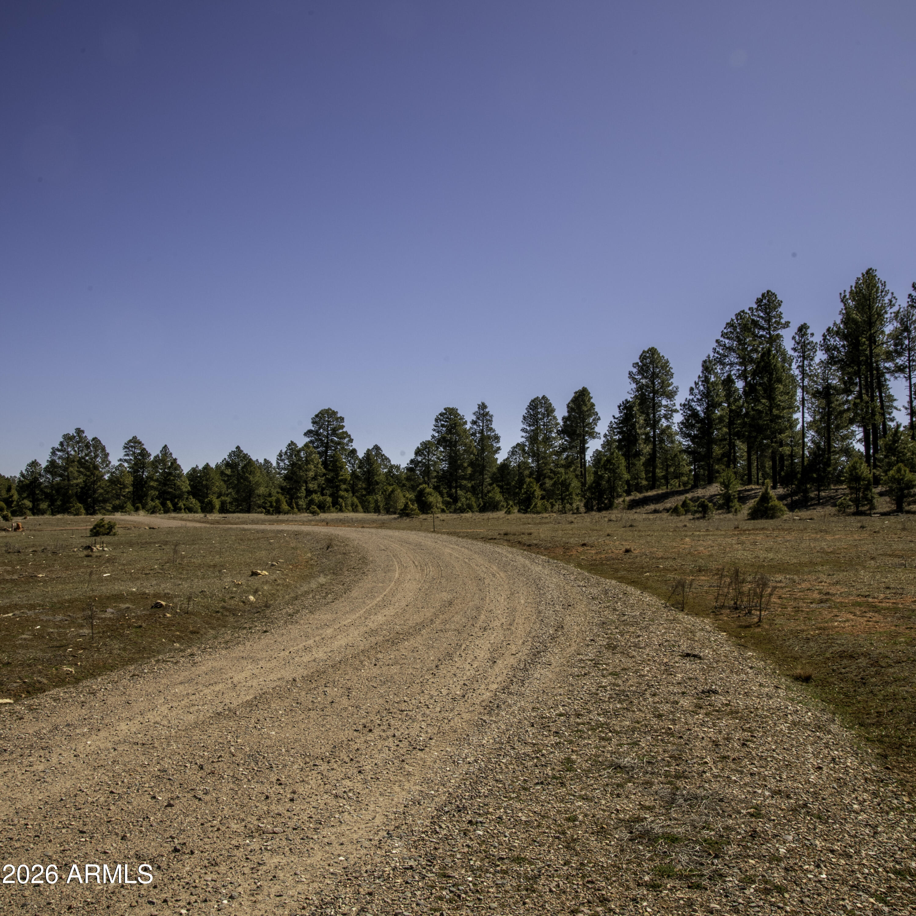7770 Forest Service 122 Road, Unit 6A Happy Jack, AZ 86024 - Photo 34 of 38 a view of a rural road with plants