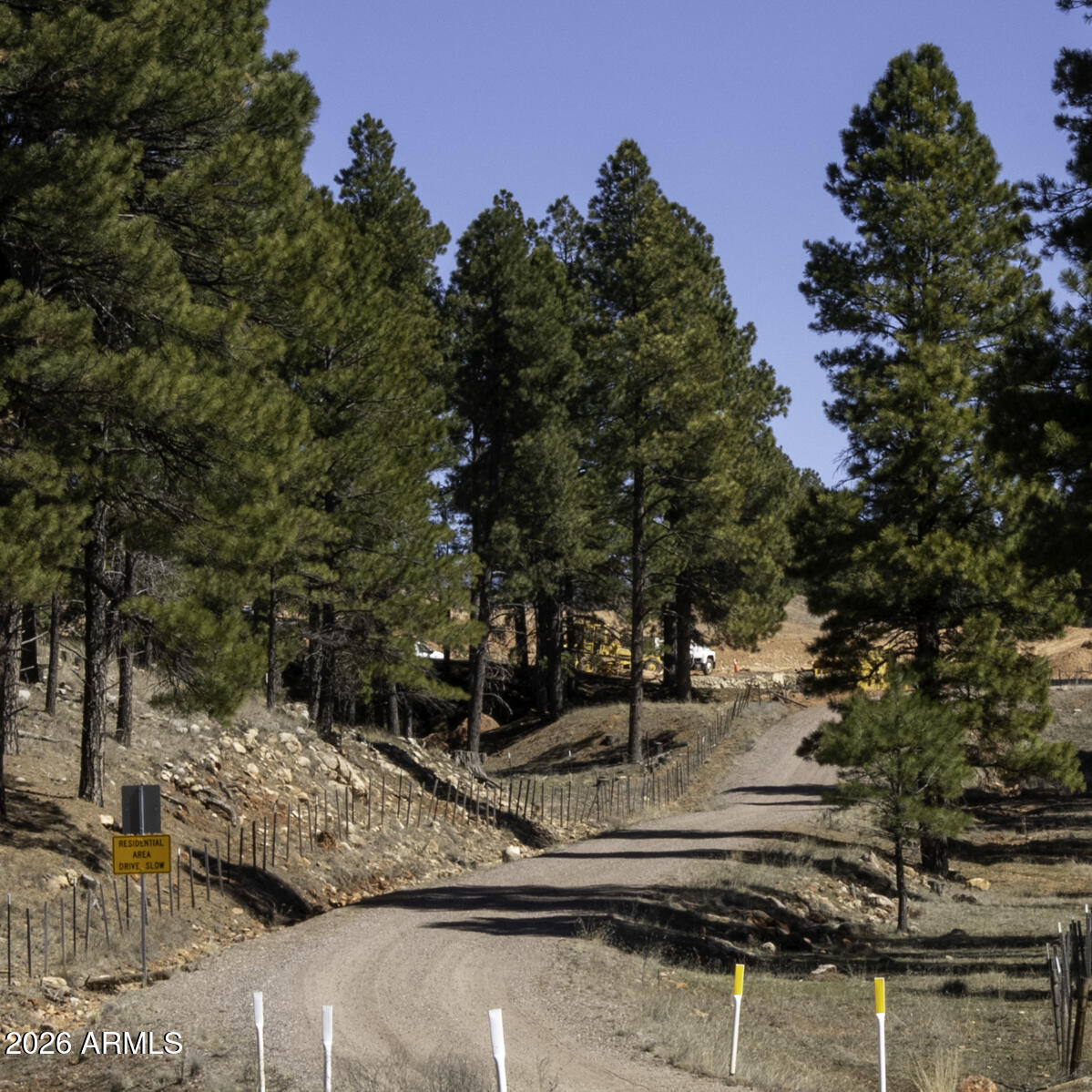 7770 Forest Service 122 Road, Unit 6A Happy Jack, AZ 86024 - Photo 38 of 38 a view of a yard with trees