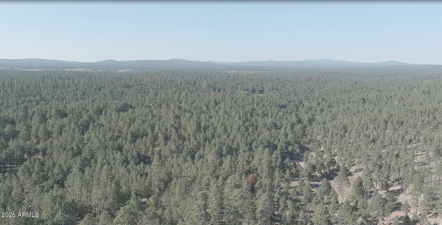 7770 Forest Service 122 Road, Unit 6A Happy Jack, AZ 86024 - Photo 10 of 38