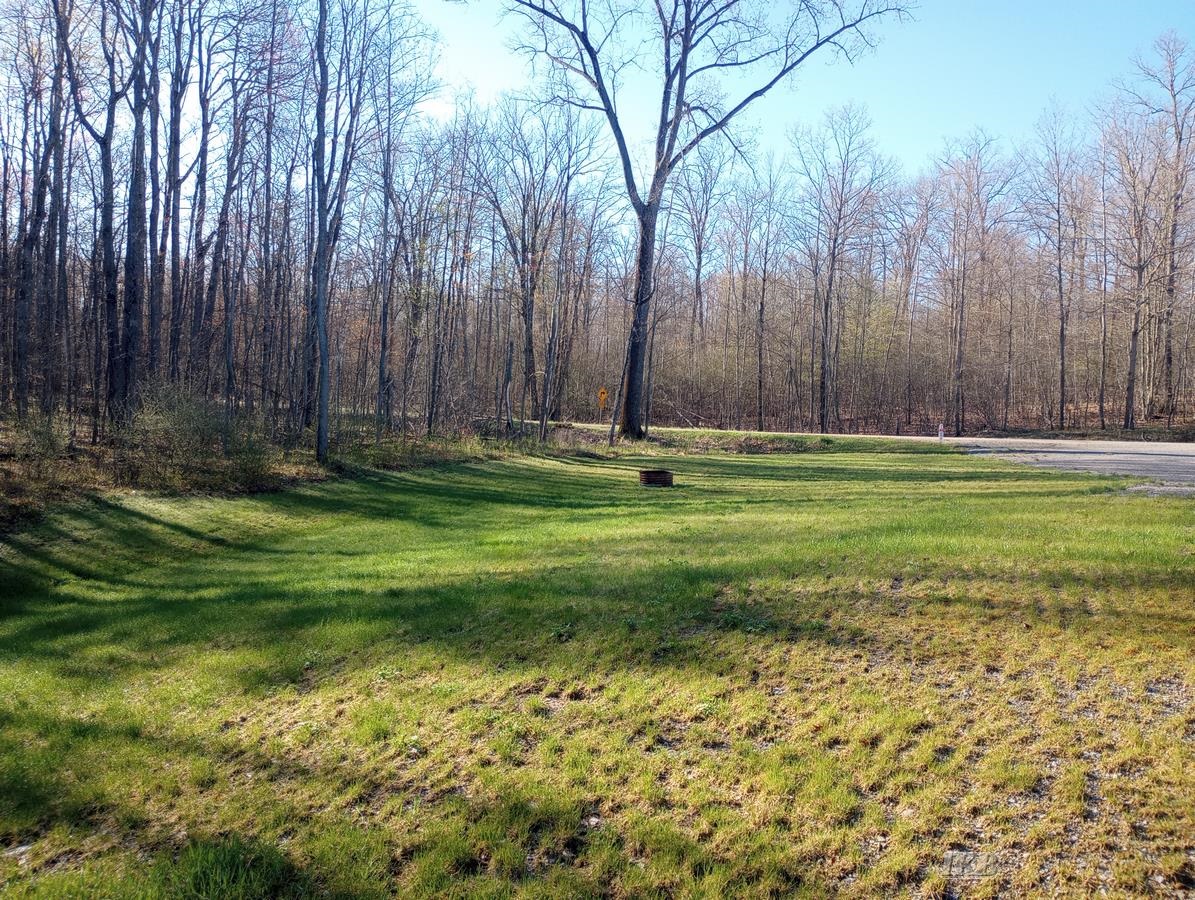 4861 Forest Road Harrison, MI 48625 - Photo 29 of 37