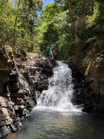 a view of water with a tree