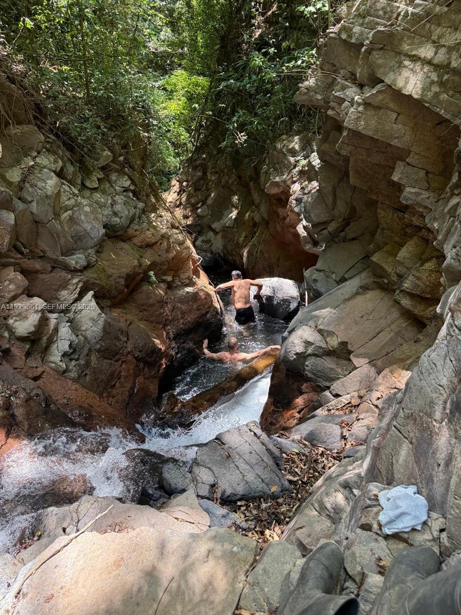 Evanston Evanston, IL 60201 - Photo 7 of 19 a view of a tree in a yard