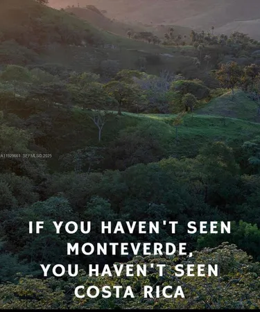 a view of a bunch of city