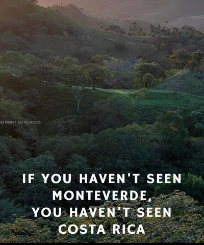 a view of a bunch of city