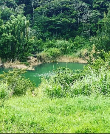 a view of a garden with a lake view