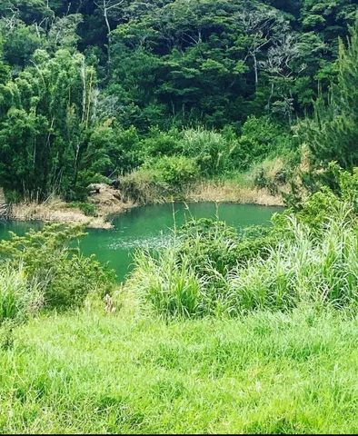 a view of a garden with a lake view