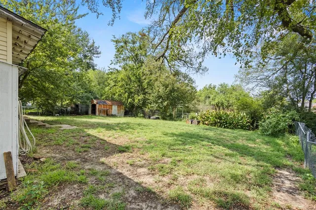 a view of a tree in a yard