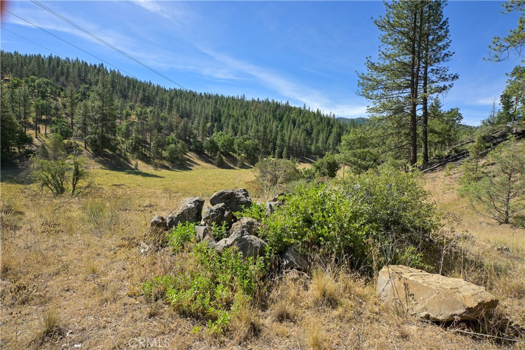1 Duzel Creek Road Fort Jones, CA 96032 - Photo 16 of 38
