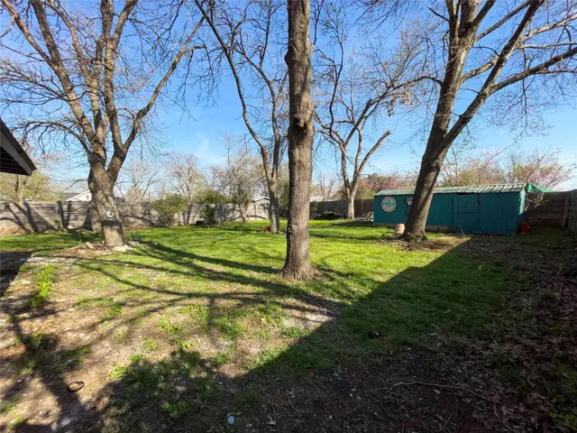 a view of a playground with a large tree
